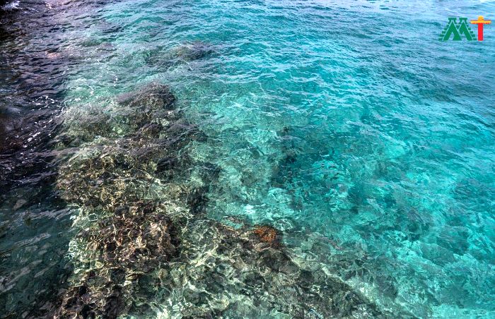 Cozumel Beaches (Mexico)