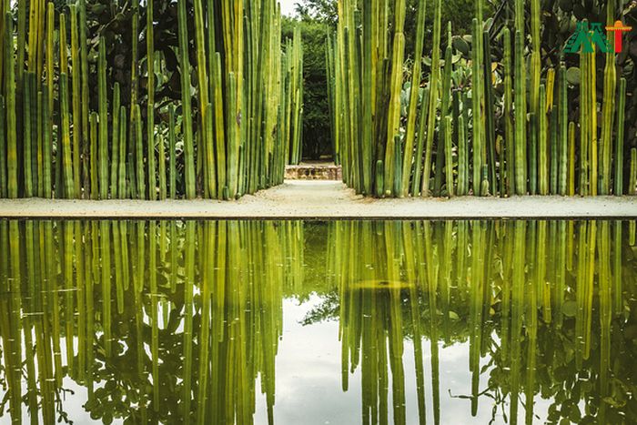 Ethnobotanic Garden In Oaxaca Mexico