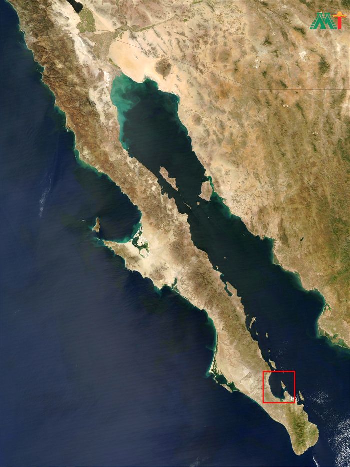 Baja La Paz (mexico)