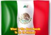 What is the best month to go to Mexico?