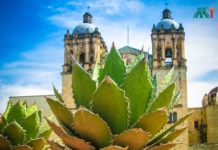 Oaxaca vacation ideas