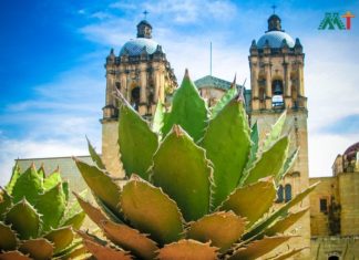 Oaxaca vacation ideas