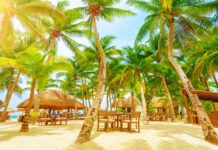 Playa Del Carmen Vacation Ideas