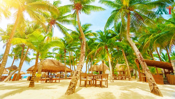 Playa Del Carmen Vacation Ideas