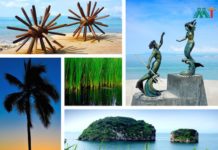 Puerto Vallarta Vacation Ideas